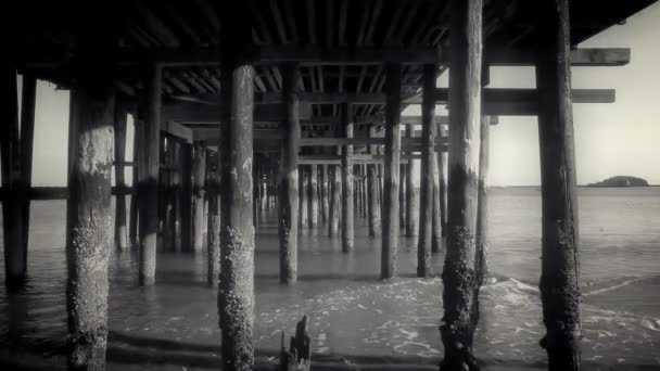 Vintage View from Under Pier — Stock Video