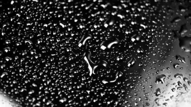 Monochrome Water Drops — Stock Video