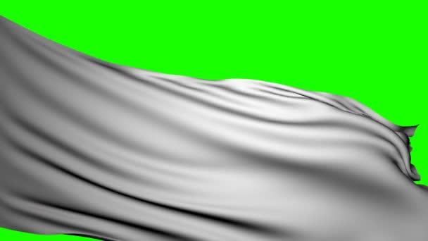 Keyable λευκή σημαία βρόχου — Αρχείο Βίντεο