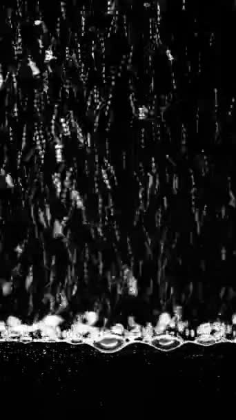 Burbujas que suben en negro — Vídeo de stock