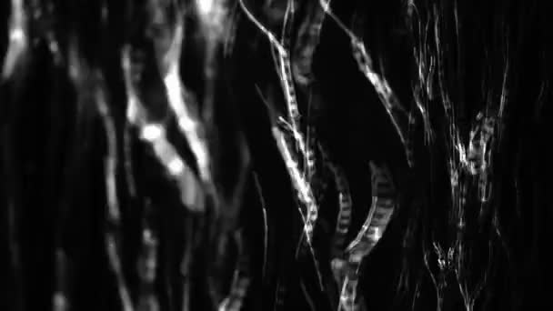 黑色的泡泡水 — 图库视频影像