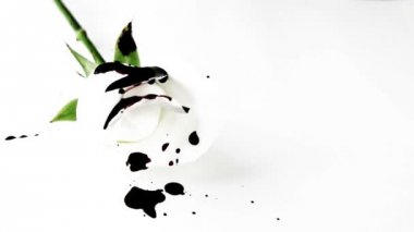 Siyah petrol beyaz gül döktüm 