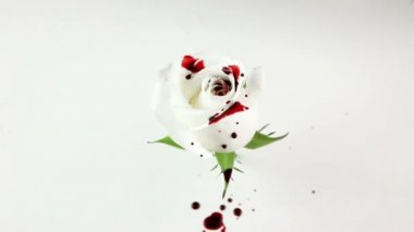 Siyah petrol beyaz gül döktüm