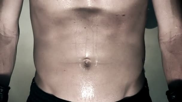 Male Stomach During Workout — Αρχείο Βίντεο