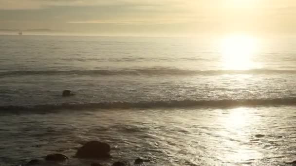 金色的夕阳在海滩 — 图库视频影像