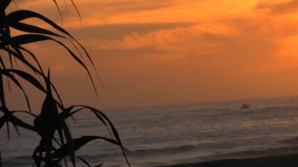 Vagues au coucher du soleil sur la plage — Video