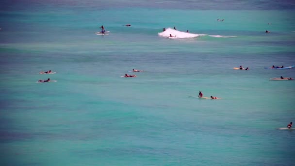 Surfeurs Ondes d'équitation — Video