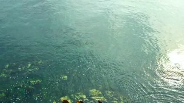 Океанському березі затоки — стокове відео