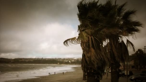 Strand mit Palmen und Menschen — Stockvideo