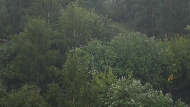 Widok na park miejski podczas ulewnego deszczu w sezonie letnim — Wideo stockowe