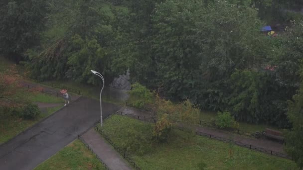 Вид зверху на міський парк під час сильного дощу в літній сезон — стокове відео
