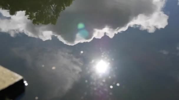 Reflejo del cielo, nubes y árboles en el agua en un estanque — Vídeos de Stock