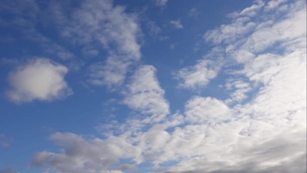 Niebieskie niebo białe chmury. Puszyste puszyste białe chmury. Cumulus chmura krajobraz timelapse. Czas letni błękitne niebo upływa. Dramatyczne, wspaniałe, błękitne niebo. Miękkie białe chmury tworzą. Chmury tło upływu czasu — Wideo stockowe