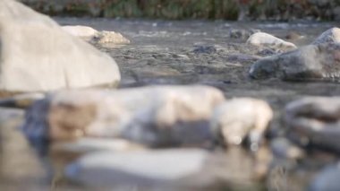 Taşlı küçük bir nehir. Bir dağ deresindeki su taşların etrafında akar. Kayalık kıyılar arasında akan. Yakın plan..