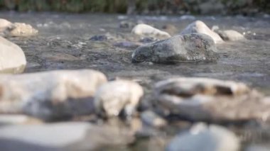 Taşlı küçük bir nehir. Bir dağ deresindeki su taşların etrafında akar. Kayalık kıyılar arasında akan. Yakın plan..