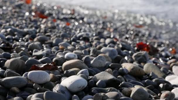 Fale spokojnie myją skalistą plażę morską. Wybrzeże morskie — Wideo stockowe