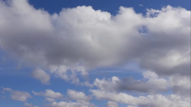 青い空の白い雲。ふわふわの白い雲。積雲の風景時間経過。夏の青空の時間の経過。劇的な壮大な壮大な青い空。柔らかい白い雲が形成されます。雲の時間経過背景 — ストック動画