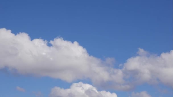 Niebieskie niebo białe chmury. Puszyste puszyste białe chmury. Cumulus chmura krajobraz timelapse. Czas letni błękitne niebo upływa. Dramatyczne, wspaniałe, błękitne niebo. Miękkie białe chmury tworzą. Chmury tło upływu czasu — Wideo stockowe