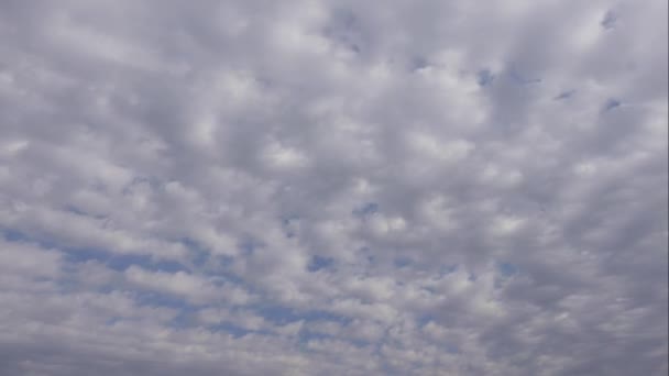Modrá obloha bílé mraky. Nadýchané bílé mraky. Cumulus cloud scape timelapse. Letní modrá obloha vypršela. Dramatická majestátní modrá obloha. Měkká bílá mračna. Časový odstup mraků na pozadí — Stock video
