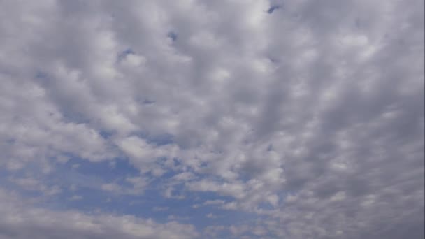 青い空の白い雲。ふわふわの白い雲。積雲の風景時間経過。夏の青空の時間の経過。劇的な壮大な壮大な青い空。柔らかい白い雲が形成されます。雲の時間経過背景 — ストック動画