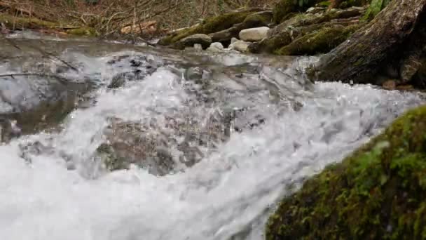 Puurste bergkreek in het bos. Stroom van water beweegt tussen de stenen bedekt met mos. Kleine rivier met rotsen. Idyllisch groen landschap met riviertje. Natuur achtergrond serie — Stockvideo