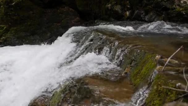 A legtisztább hegyi patak az erdőben. Víz áramlik a mohával borított kövek között. Kis folyó kövekkel. Idilli zöld táj kis folyóval. Természet háttér sorozat — Stock videók