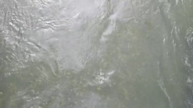 Ormandaki en saf dağ deresinin manzarası. Taşlar arasında akan su akıntısı. Küçük nehri olan ideal bir manzara. Doğa arkaplan serisi. 