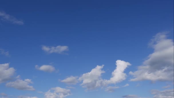 Niebieskie niebo białe chmury. Puszyste puszyste białe chmury. Cumulus chmura krajobraz timelapse. Czas letni błękitne niebo upływa. Dramatyczne, wspaniałe, błękitne niebo. Miękkie białe chmury tworzą. Chmury tło upływu czasu — Wideo stockowe