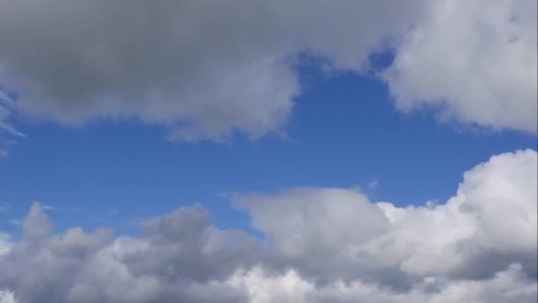 Mavi gökyüzü beyaz bulutlar. Kabarık beyaz bulutlar. Kümülüs bulutu zaman çizelgesi. Yaz mavisi gökyüzü zaman aşımı. Dramatik muhteşem mavi gökyüzü. Yumuşak beyaz bulutlar oluşur. Zaman aşımı arkaplanını bulutlandırır — Stok video