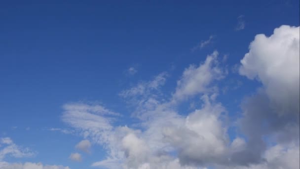 Niebieskie niebo białe chmury. Puszyste puszyste białe chmury. Cumulus chmura krajobraz timelapse. Czas letni błękitne niebo upływa. Dramatyczne, wspaniałe, błękitne niebo. Miękkie białe chmury tworzą. Chmury tło upływu czasu — Wideo stockowe