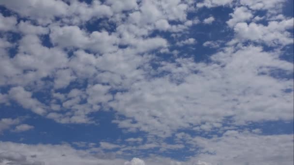 Céu azul nuvens brancas. Nuvens brancas macias inchadas. Cumulus nuvem escape timelapse. Verão céu azul lapso de tempo. Dramático majestoso incrível céu azul. Forma nuvens brancas suaves. Nuvens tempo de fundo lapso — Vídeo de Stock