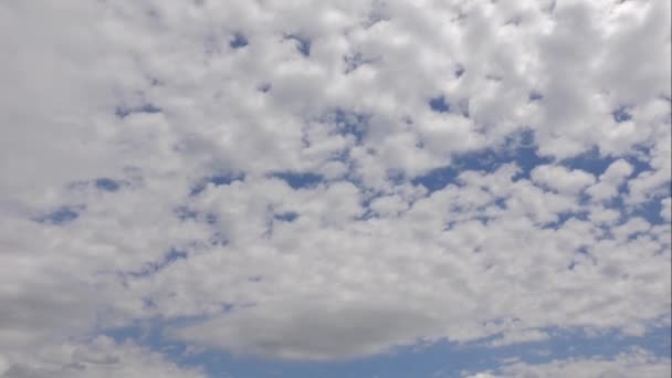 青い空の白い雲。ふわふわの白い雲。積雲の風景時間経過。夏の青空の時間の経過。劇的な壮大な壮大な青い空。柔らかい白い雲が形成されます。雲の時間経過背景 — ストック動画