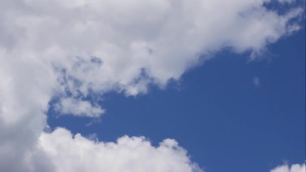 Modrá obloha bílé mraky. Nadýchané bílé mraky. Cumulus cloud scape timelapse. Letní modrá obloha vypršela. Dramatická majestátní modrá obloha. Měkká bílá mračna. Časový odstup mraků na pozadí — Stock video