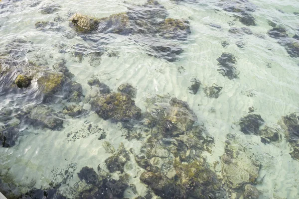 Vacaciones, rocas junto al mar Mediterráneo en la isla de Mallor — Foto de Stock