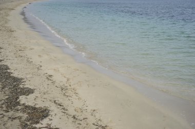 Shore, Mallorca plaj ile fırtınalı gökyüzü, insanlar olmadan deniz kıyısı