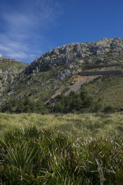 kayalıklardan Formentor, bölge S Mallorca Adası kuzeyinde