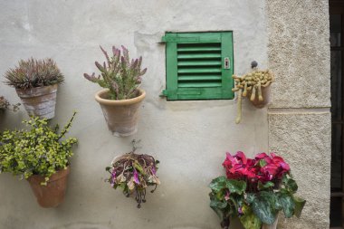 Turizm Adası Mallorca, Valdemosa c sokak Çiçeklik
