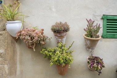 Turizm Adası Mallorca, Valdemosa c sokak Çiçeklik