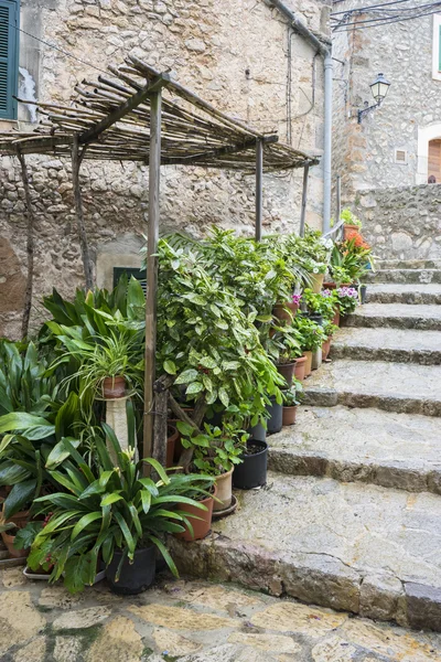 Calle de macetas en la isla turística de Mallorca, Valdemosa c — Foto de Stock