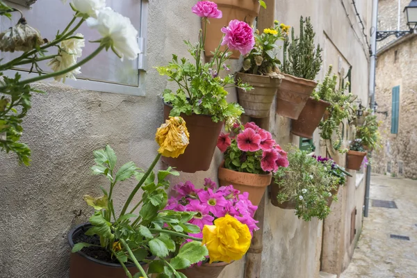 Vacation, flowerpots street in the tourist island of Mallorca, V — Stock Photo, Image