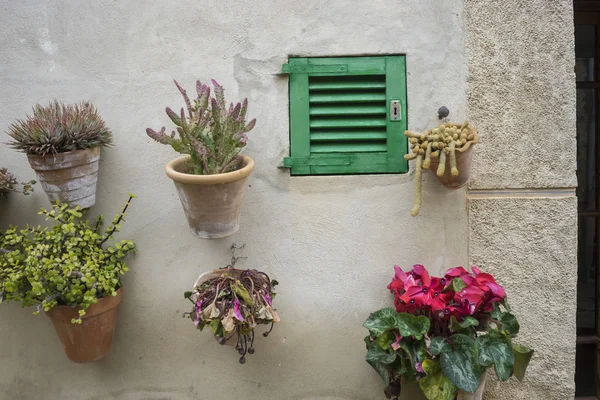 Flowerpots street in the tourist island of Mallorca, Valdemosa c — Stock Photo, Image