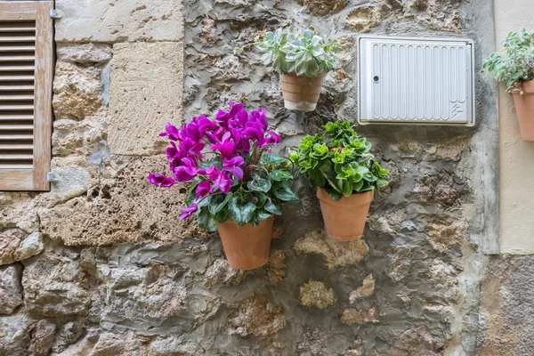 Flowerpots street in the tourist island of Mallorca, Valdemosa c — Stock Photo, Image