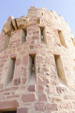 Kale siperleri, İspanya ile