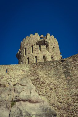 Kale siperleri, İspanya ile