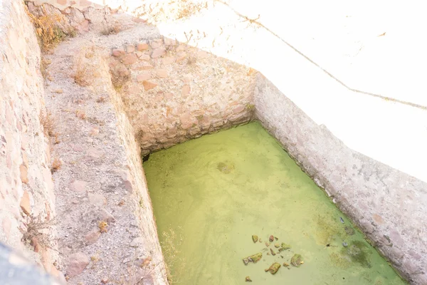 Pool med grönt vatten på villa — Stockfoto