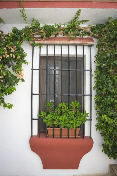 Rues traditionnelles andalouses avec des fleurs et des maisons blanches dans — Photo