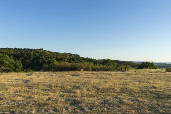 Λιβάδι ηλιόλουστο απόγευμα — Φωτογραφία Αρχείου