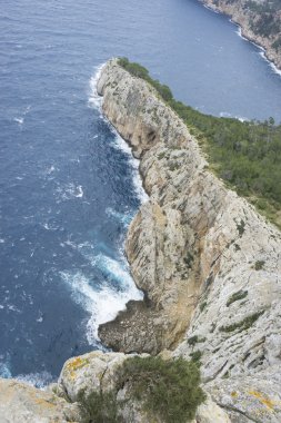 Cap formentor Majorca Adası