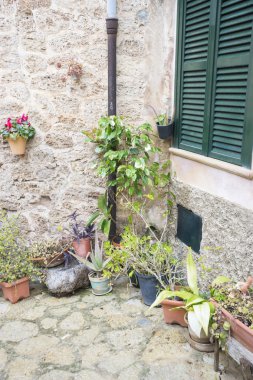 Mallorca Çiçeklik sokak