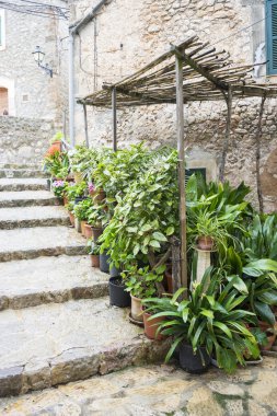 Mallorca Çiçeklik sokak